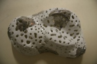 Designlampe