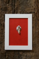Porzellandesign-Bild