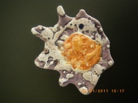 Schmuck